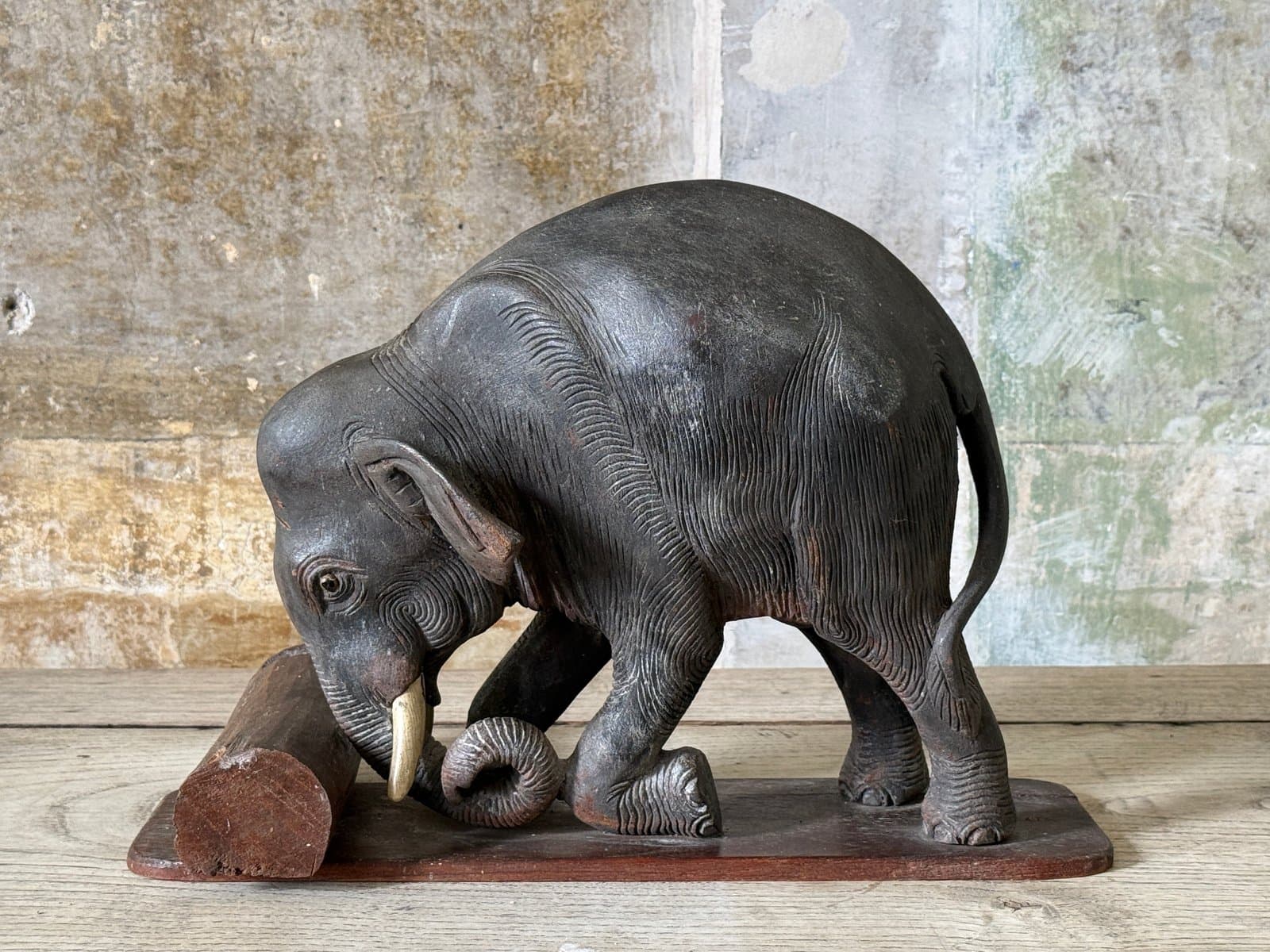 Indian Elephant
