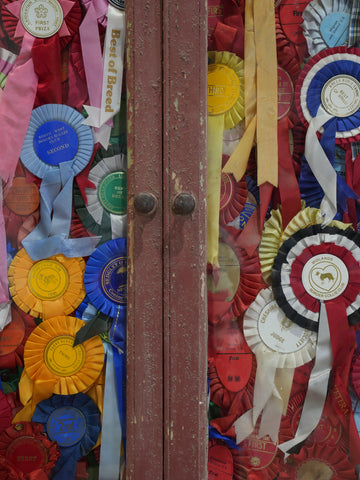 A Pair of Prize “Border Collie” Rosette Cabinets