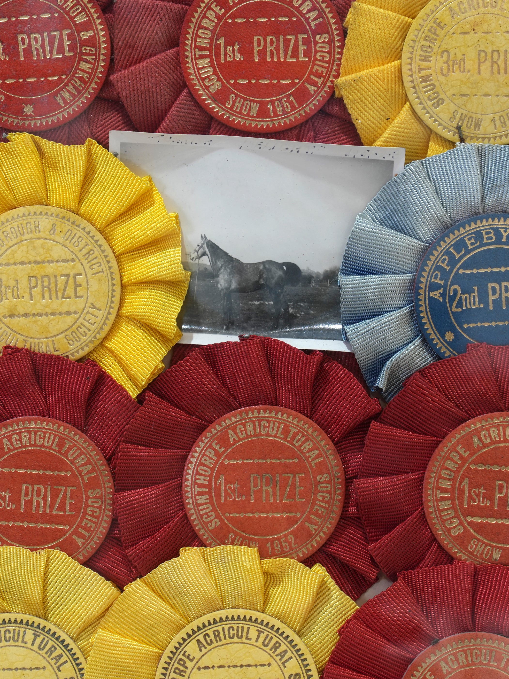 1950s Framed Pony Rosettes