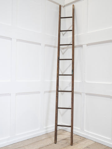 A 19th Century Folding Pole Ladder