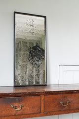 Early 19th Century Foxed Mercury Plate Mirror