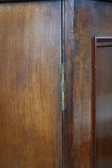 A Regency Mahogany Pedestal Cabinet