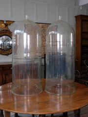 Large Glass Domes