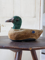 Decoy Duck