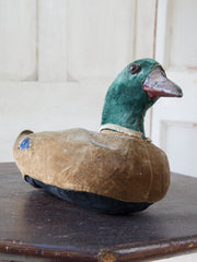 Decoy Duck