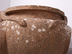 Compton Snake Pot