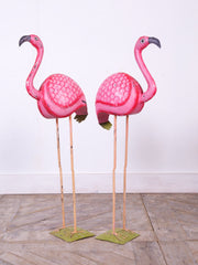 Flamingo's