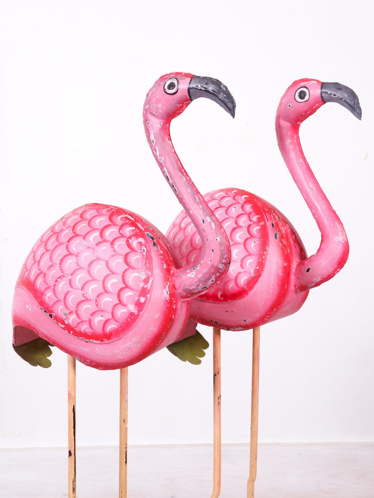 Flamingo's