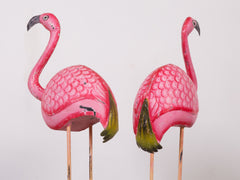 Flamingo's