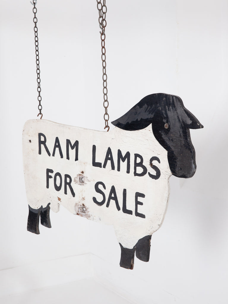 Double Sided Ram Lambs – Drew Pritchard Ltd