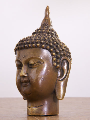 Young Buddaha