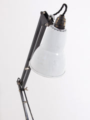 Anglepoise Task Lamp