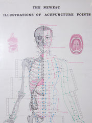 Framed Acupuncture Charts