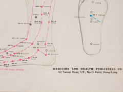 Framed Acupuncture Charts