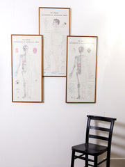 Framed Acupuncture Charts