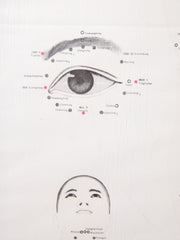 Framed Acupuncture Charts