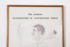 Framed Acupuncture Charts