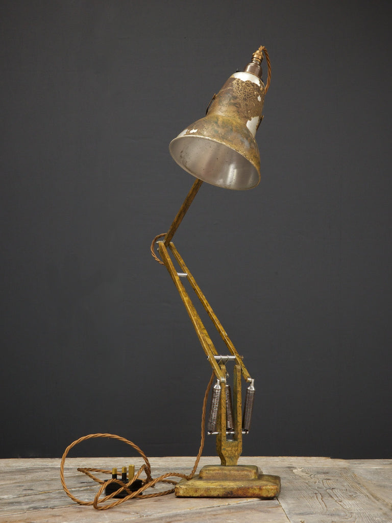 Anglepoise Lamp