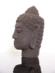 Indonesian Head