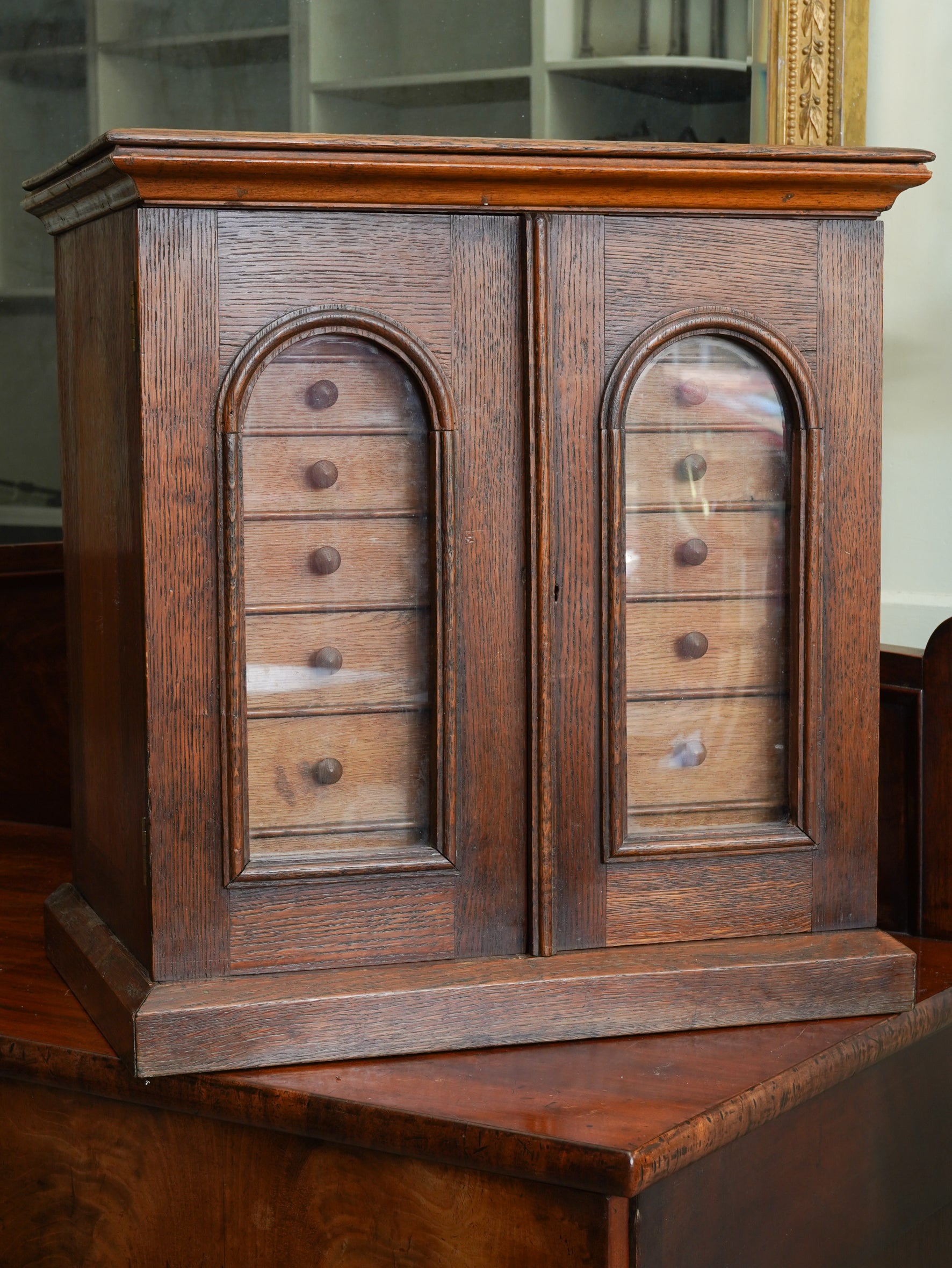 A 19th Century Collectors Cabinet