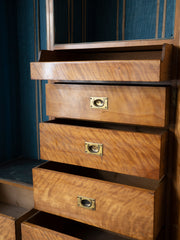 A 19th century Satin Birch Compactum Wardrobe