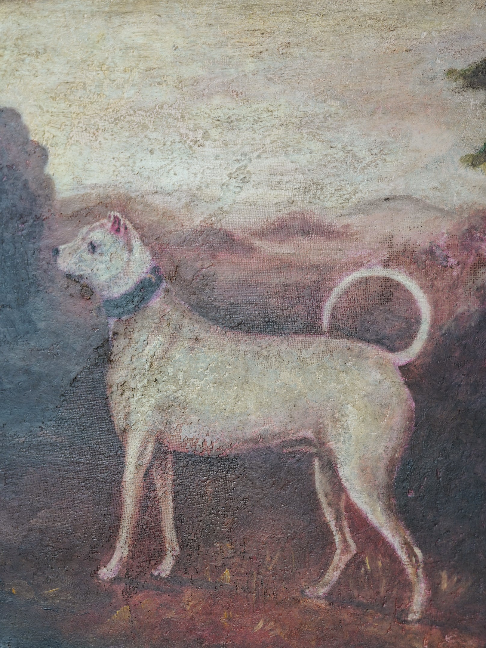 English Mastiff Oil On oard