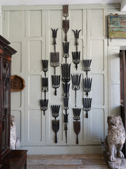 A Collection of Wrought Iron Eel Forks