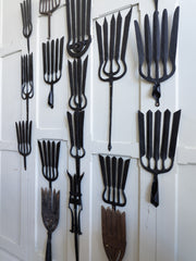 A Collection of Wrought Iron Eel Forks