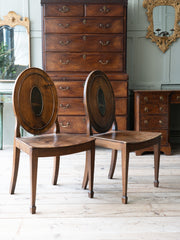 A Pair of George III Side Chairs in the manner of Mayhew & Ince