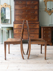 A Pair of George III Side Chairs in the manner of Mayhew & Ince